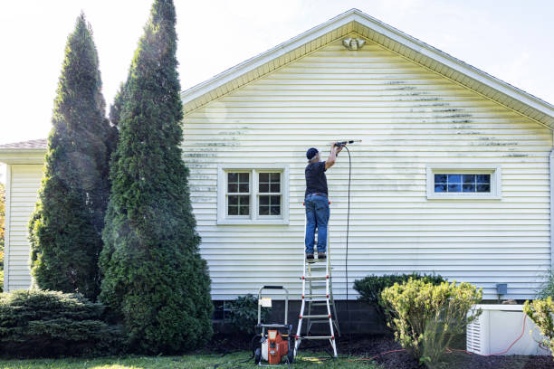 Reliable Boulevard Gardens, FL Pressure Washing Solutions